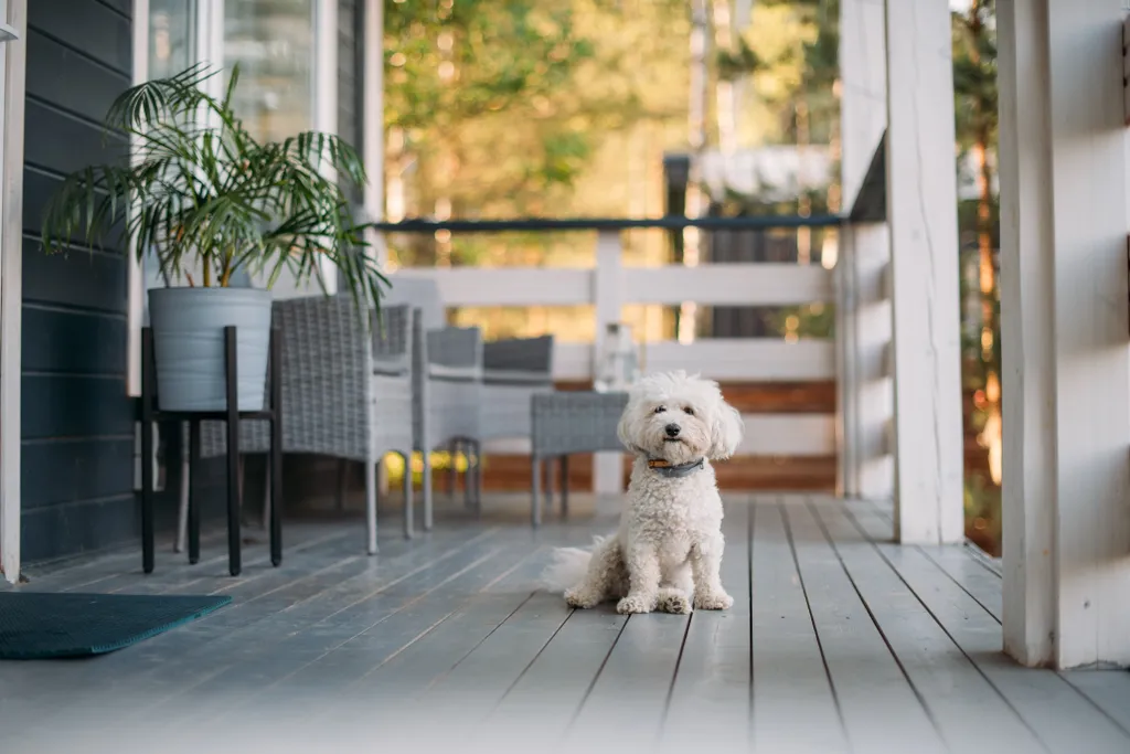 Уютный домик с видом на лес