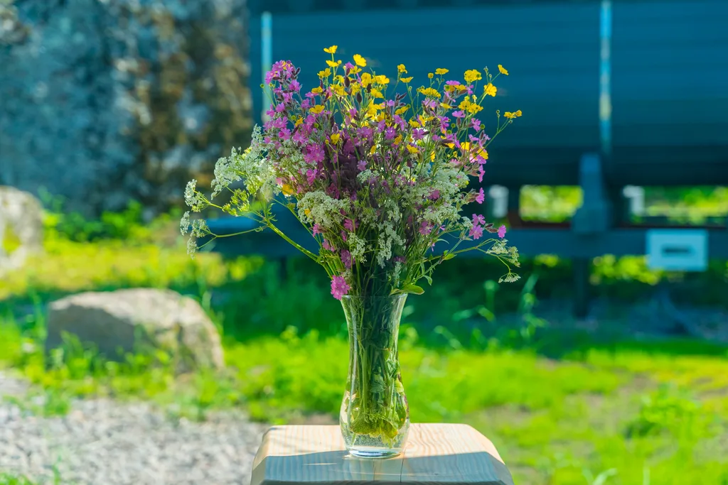 Дом с баней