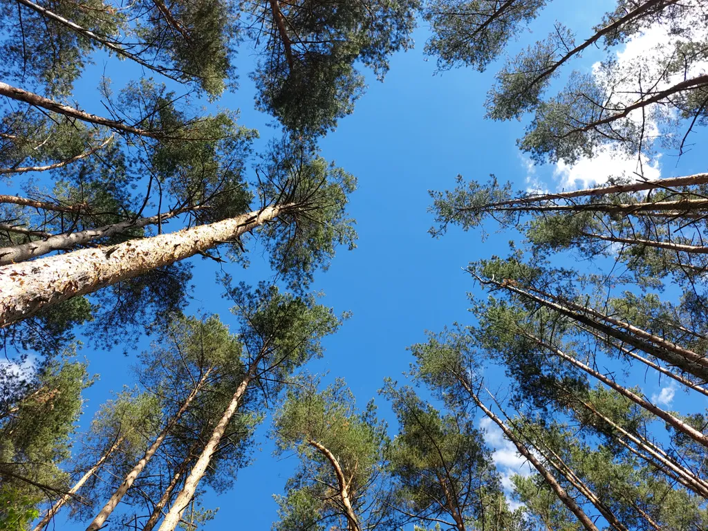 Апартаменты Мирные