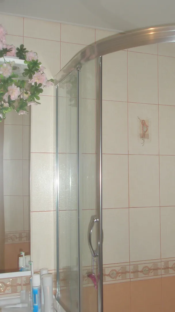 апартаменты двухуровневые санузел совмещенный-душ