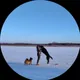 Алеся