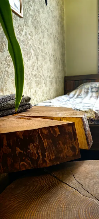 Дом в Беловежской пуще