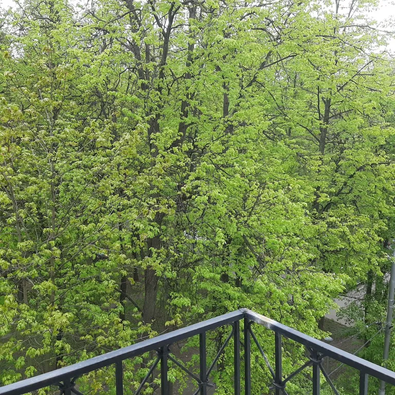 Квартира Квартира с балконом, рядом с метро и бесплатной парковкой. — Москва