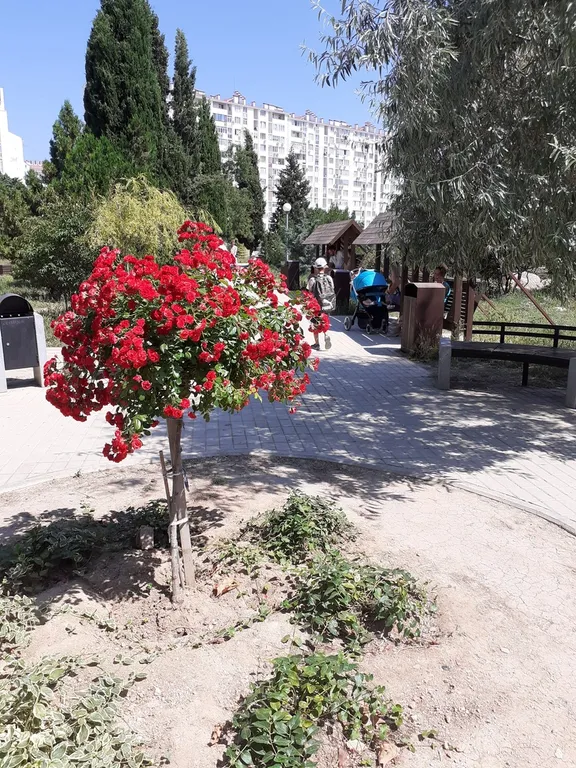 Уютная квартира у моря