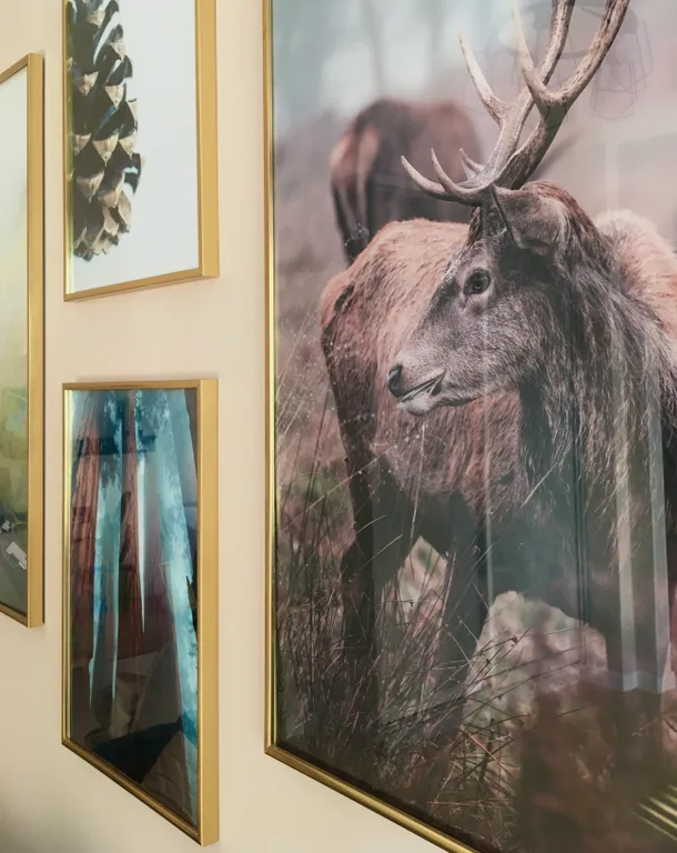 Атмосфера уюта и тишины барнаульского леса