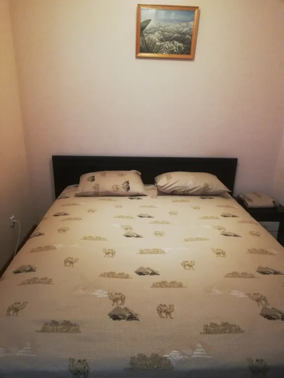 Студия у стадиона Арена