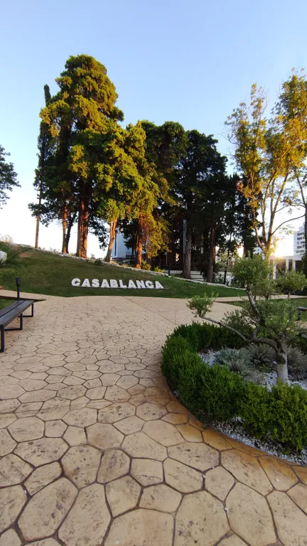 Квартира Квартира Apartments casablanca в ЖК Касабланка — Адлер