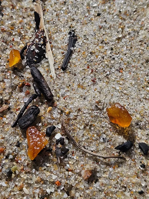 Квартира 1-комнатная Квартира — Светлогорск