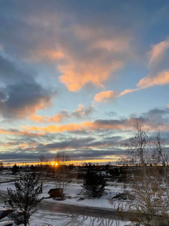 Уютная студия у озера с видом на лес