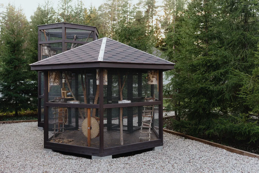 Большой дом в вековом лесу