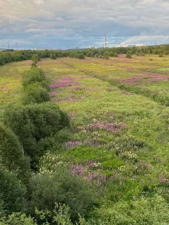 Квартира рядом с горнолыжным курортом