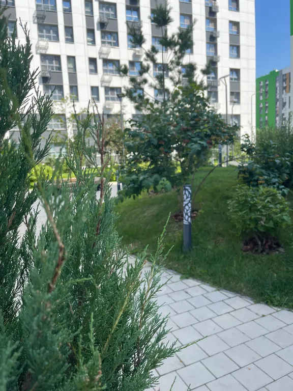 Квартира Квартира рядом с сосновым бором и парком — Казань