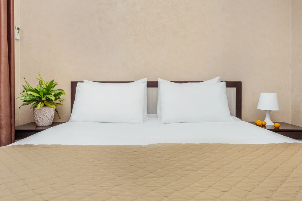 Квартира 2-комнатная Квартира — Сириус