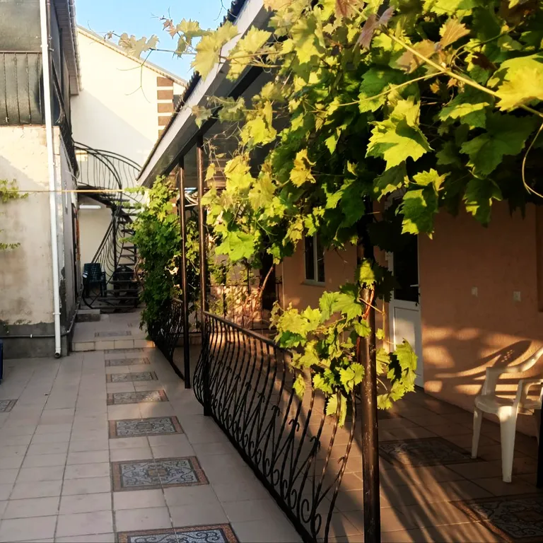 Комфортный отдых на побережье Чёрного моря