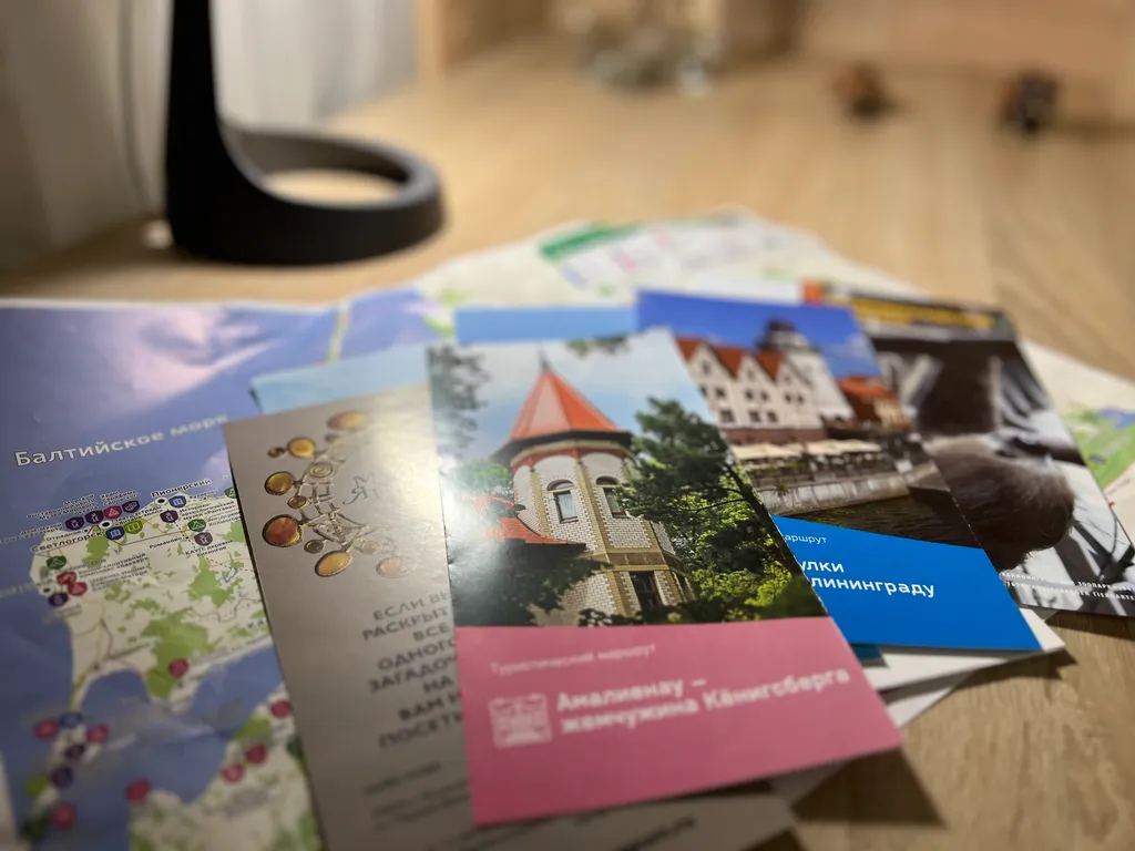 Квартира Уютная квартира в центре — Калининград