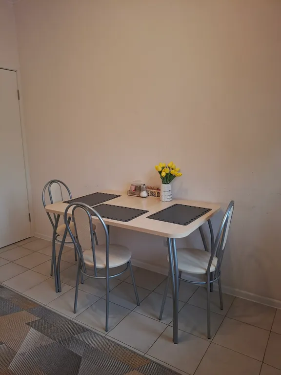 Уютная однокомнатная квартира