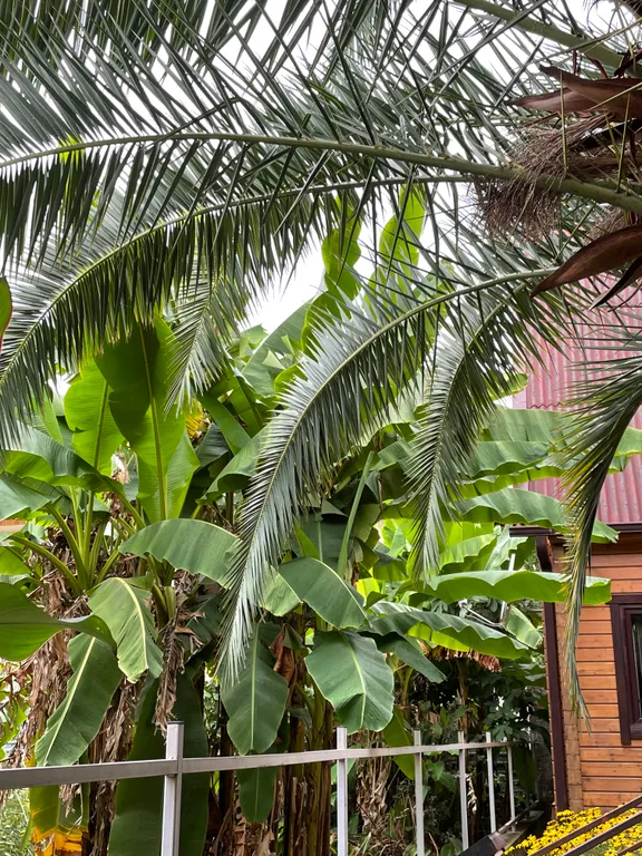 Дом в Олимпийском парке