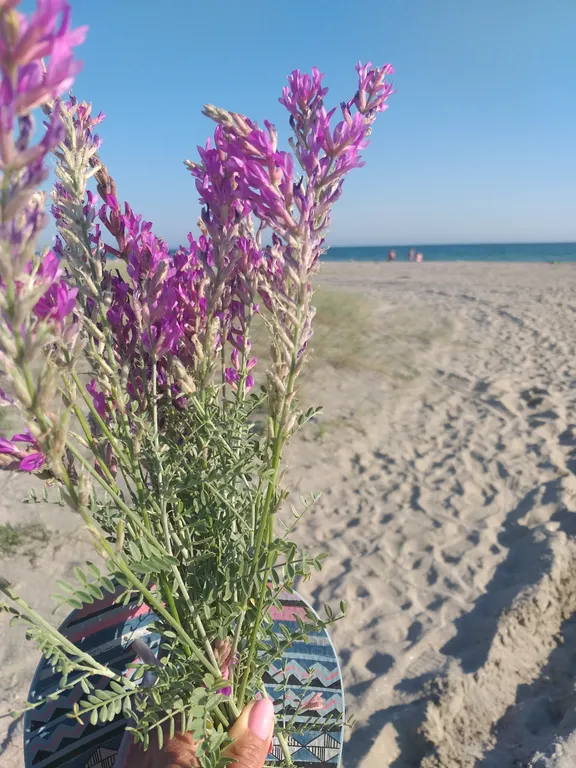 Уютная квартира недалеко от моря