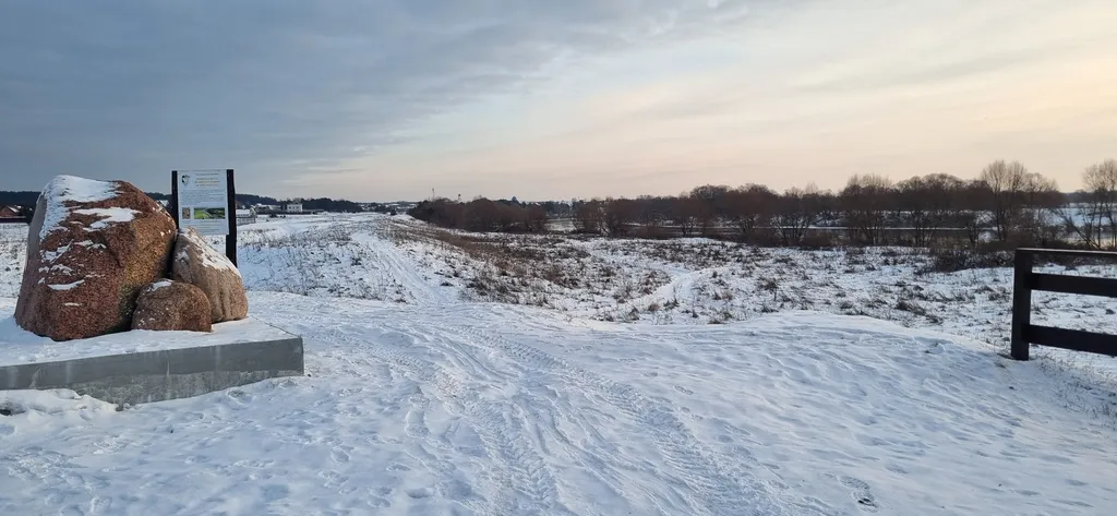 Дом-шалаш с видом на лес