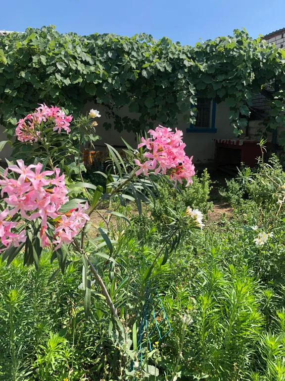 Уютный дом в самом центре