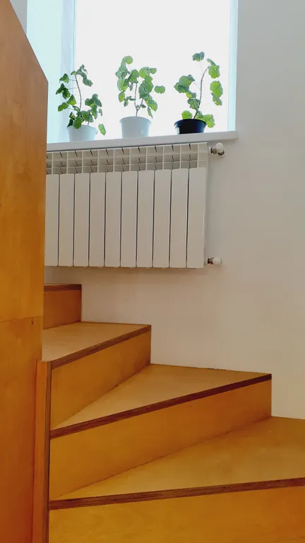 Дом Над Лесом