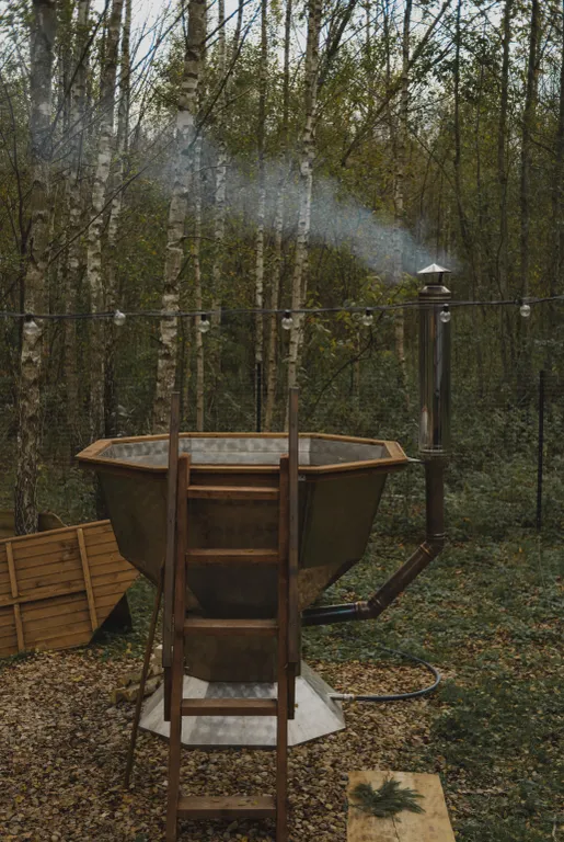 Дом в стиле A-fram