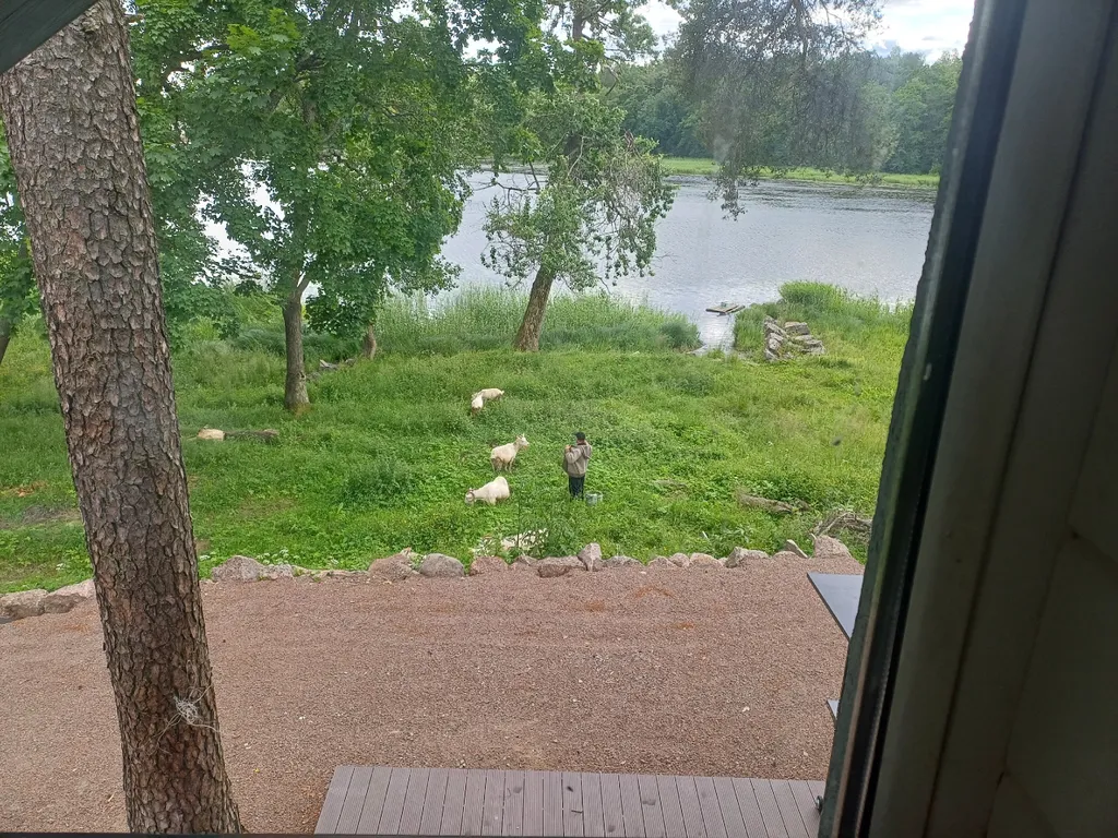 Сауналахти - коттедж с сауной на берегу Банного залива