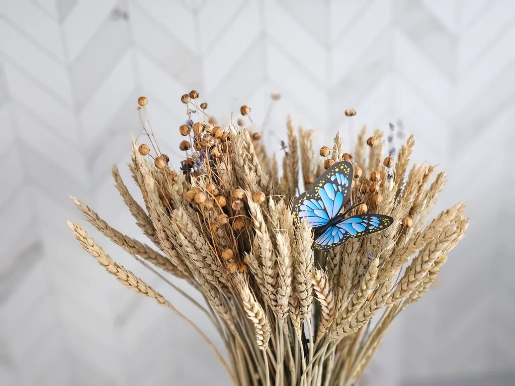 Апартамент Светлояр