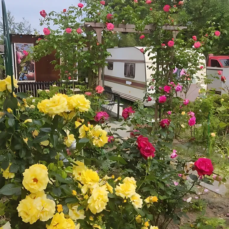 Уютный автодом «Багира» на Балтийской косе