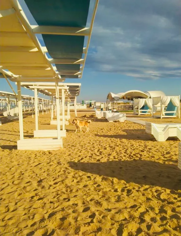 Тихий райский уголок