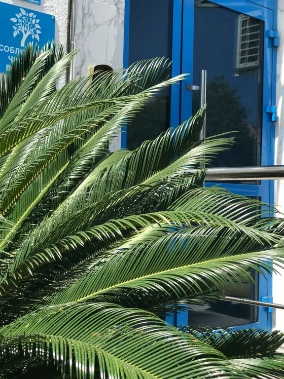 Комфортный апартамент у набережной и Олимпийской деревни
