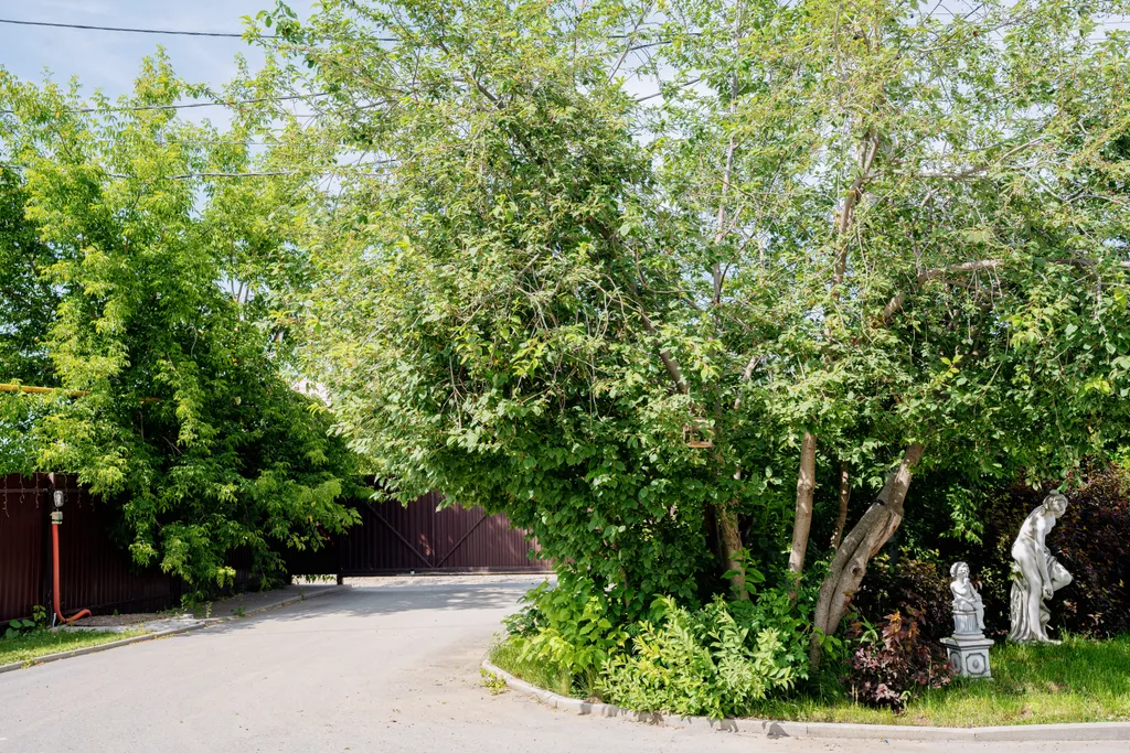 Уникальная локация в таунхаусе со spa-комплексом и бассейном