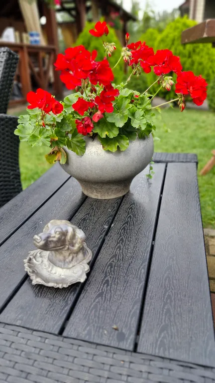 Дом с баней и парковкой