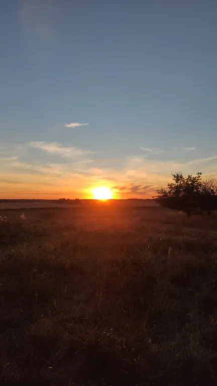 Шале Можжевеловое