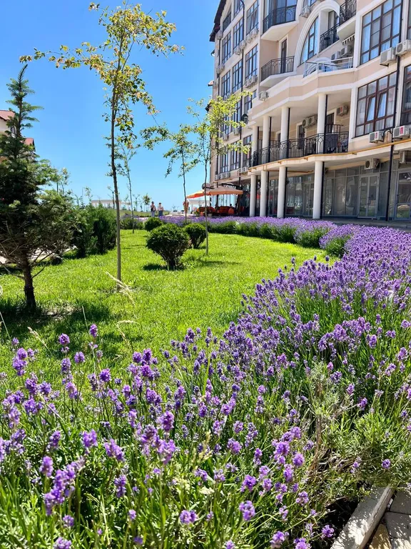 Квартира Квартира Отдых в Геленджике — Геленджик