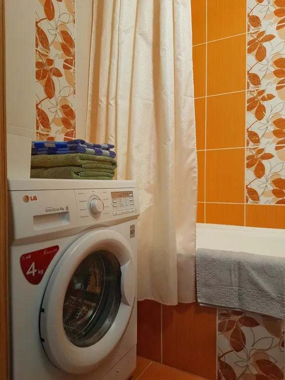 Рыжий Кот возле Парка