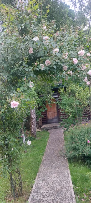 Гостевой дом в сердце Красной поляны