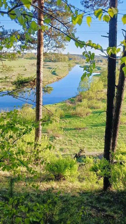 Коттедж Уютный домик у реки — Можайск