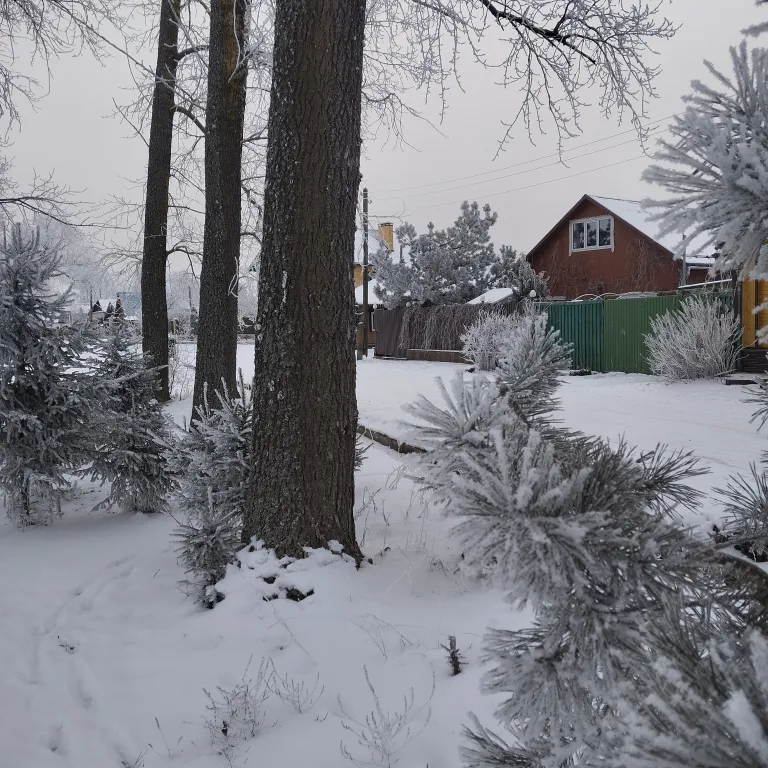 Дом с видом на Селигер