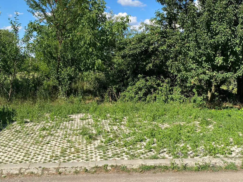 Квартира Квартира Большой улучшенный номер в коттедже с отдельным входом со двора — Краснодар