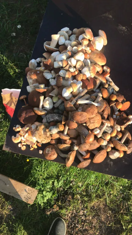 Уютный коттедж №2 у реки