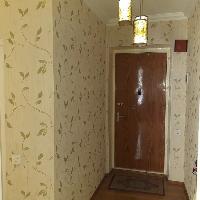 1-комнатная квартира в центре города