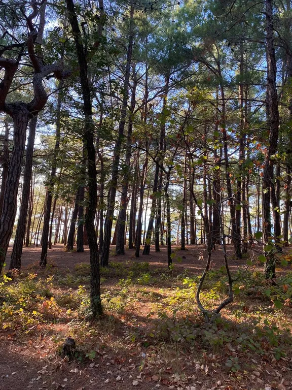 Квартира Квартира Отдых у Дианы — Прасковеевка