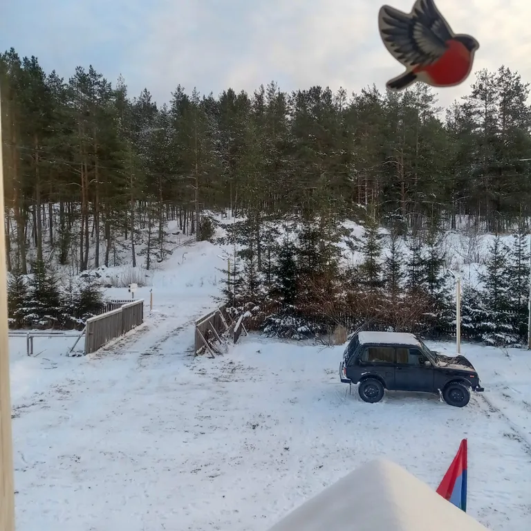 Современный дом на берегу Ладоги