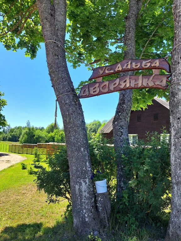 Домик на браславских озерах