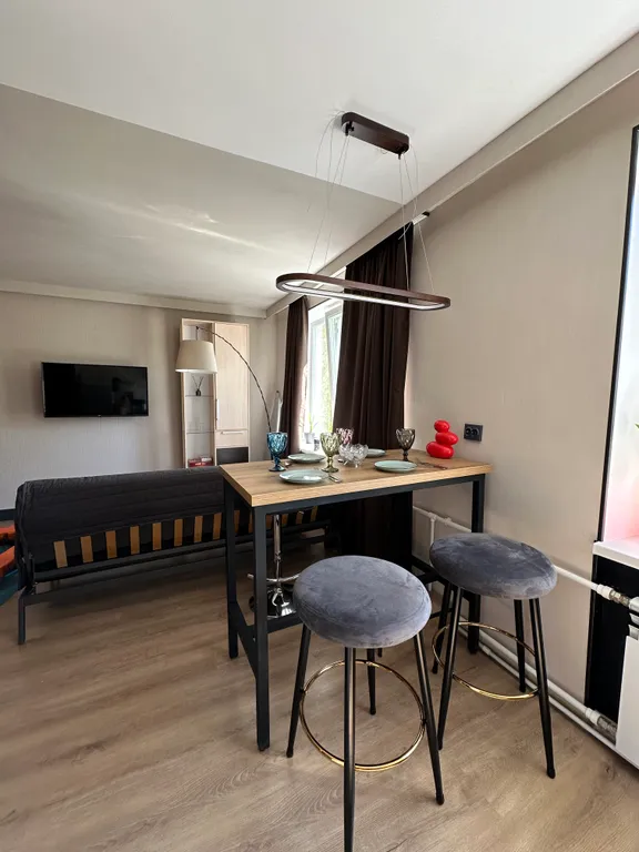 Современная студия с видом на гору в 2х минутах от Онежского озера