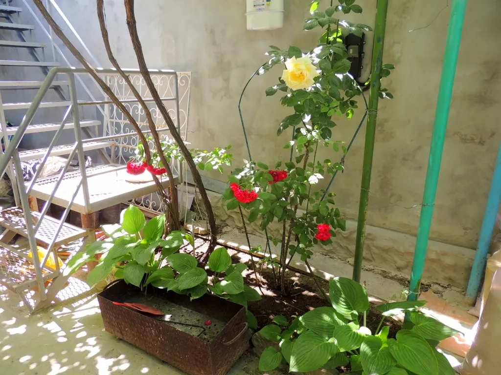 Квартира 1-комнатная Квартира — Евпатория