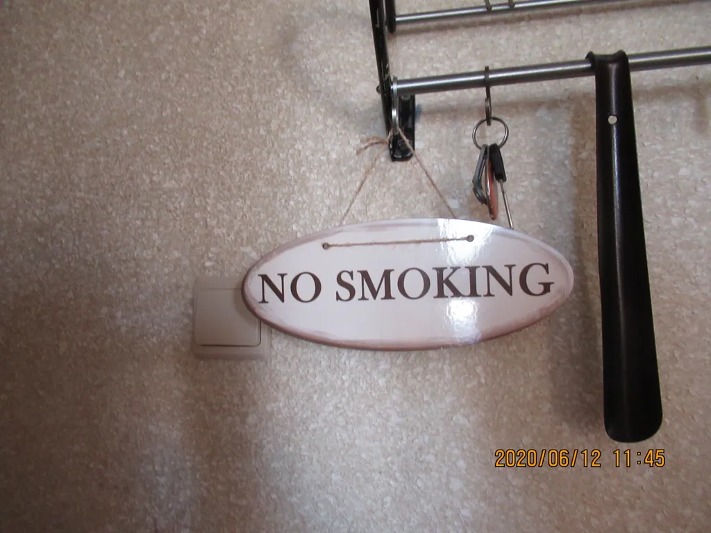 Квартира Квартира с видом на фонтан — Ломоносов