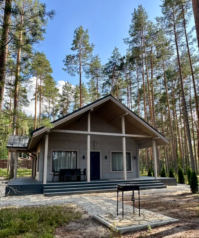 Уютный дом в сосновом бору