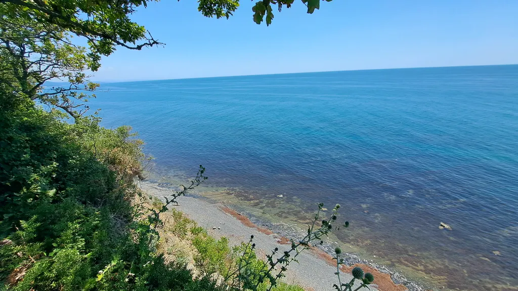 Домик в лесу возле моря